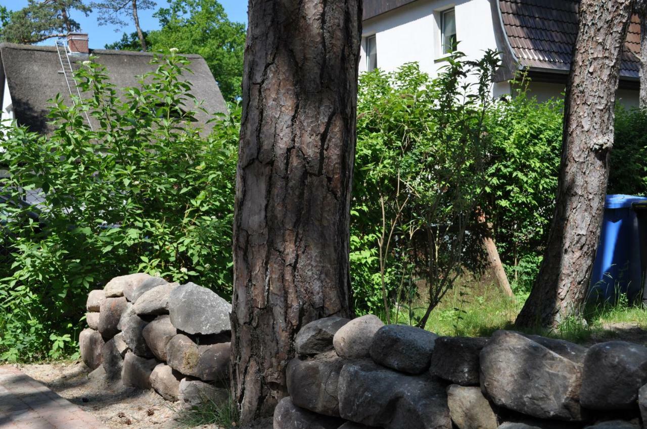 Strandvilla Waldhaus Boltenhagen  Dış mekan fotoğraf