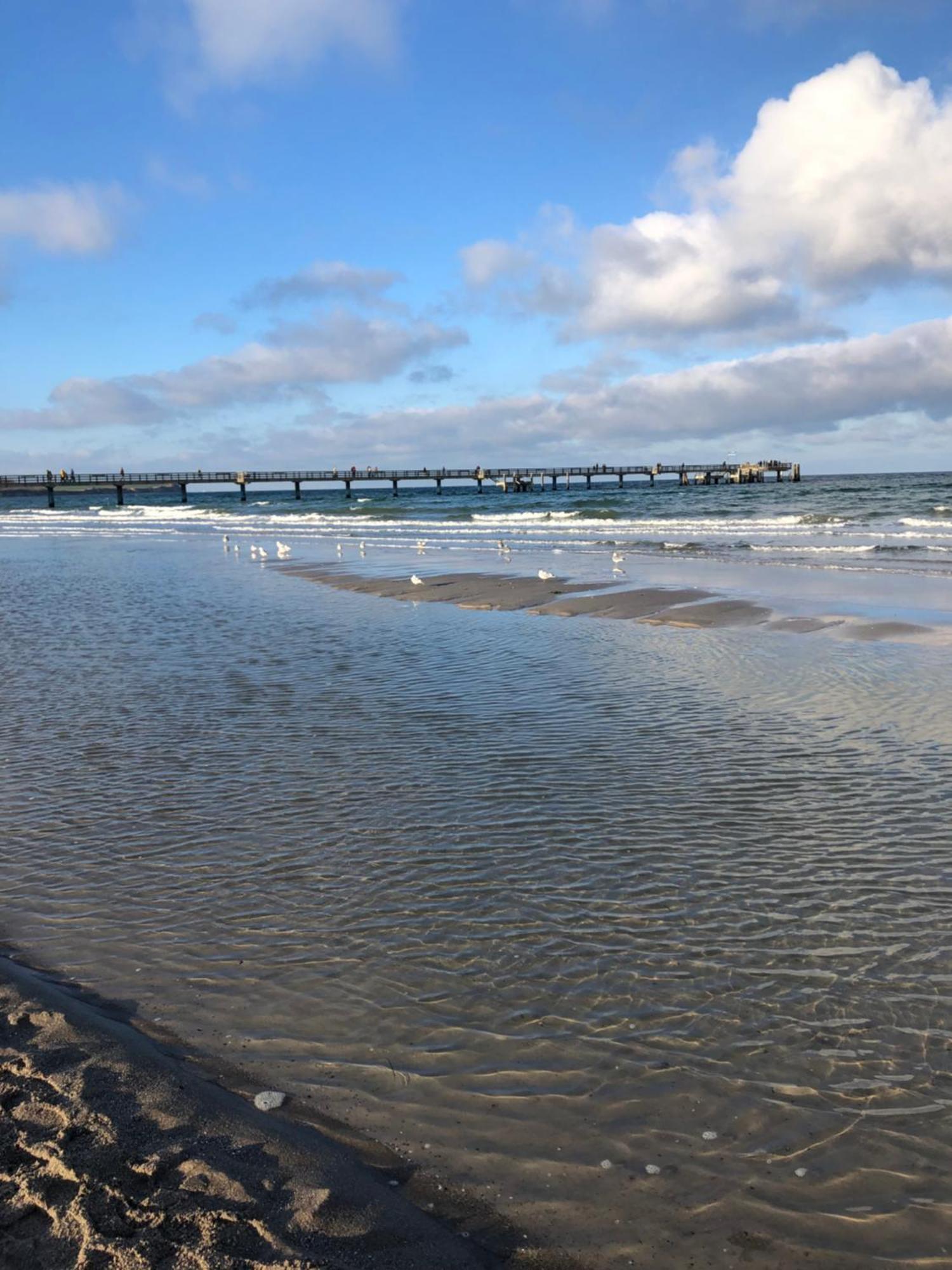 Strandvilla Waldhaus Boltenhagen  Dış mekan fotoğraf